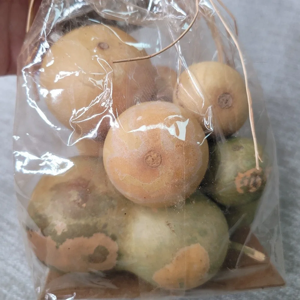 Pottery Barn Real Dried Gourds Made USA Grown in California Fall Bowl Filler NIP